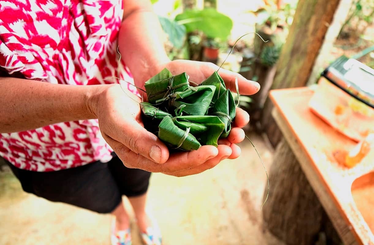 Costa Rican Campesino Farm Experience