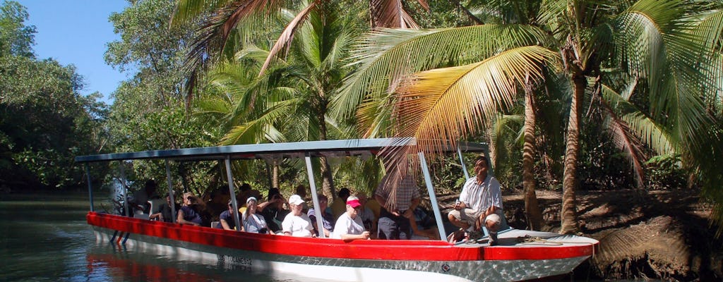 Damas Island Boat Tour