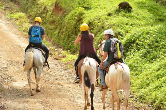 Granja ecológica de Tucanes, Cascadas