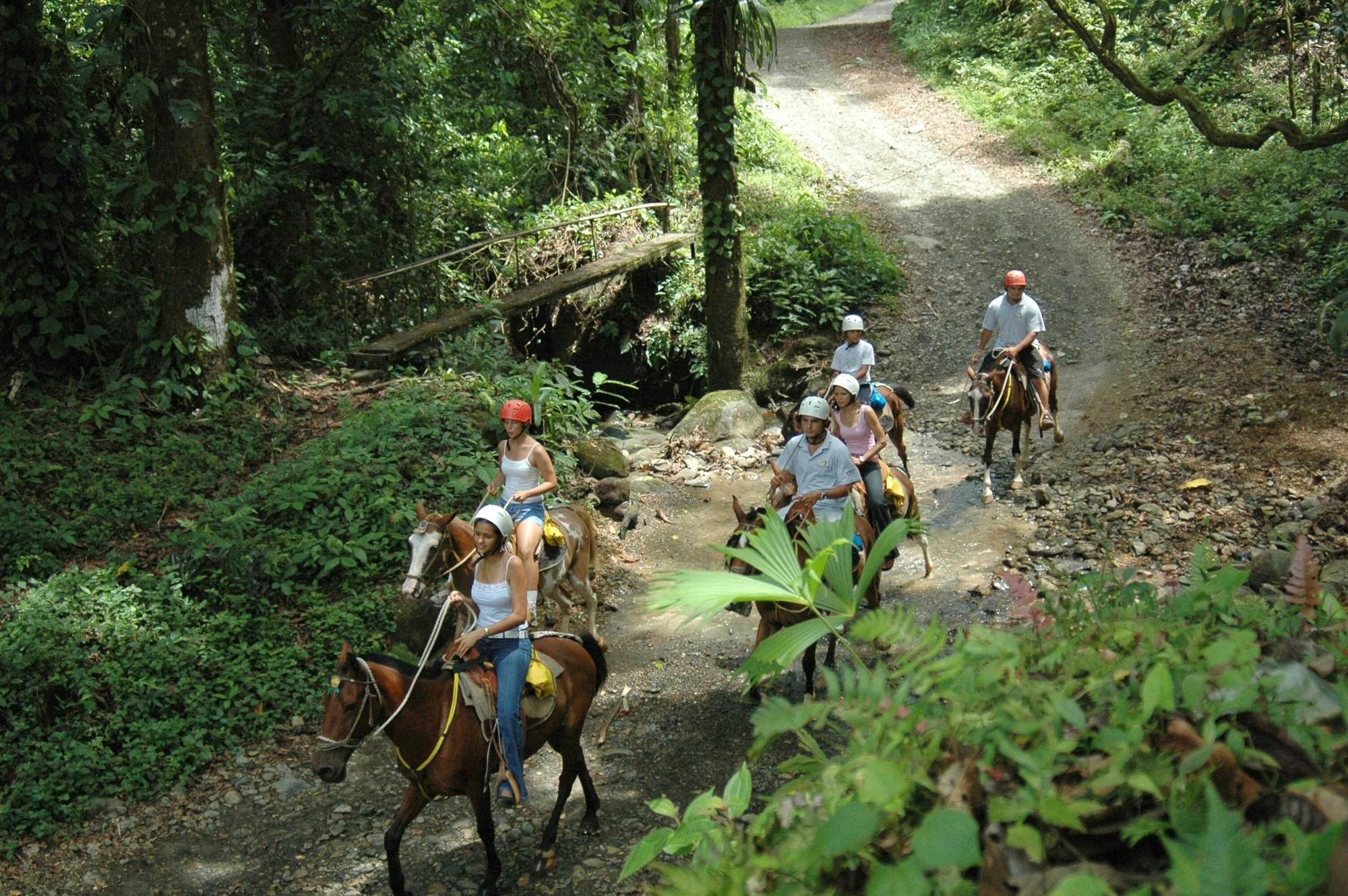 Tucanes Organic Farm, Horseride and Cascade