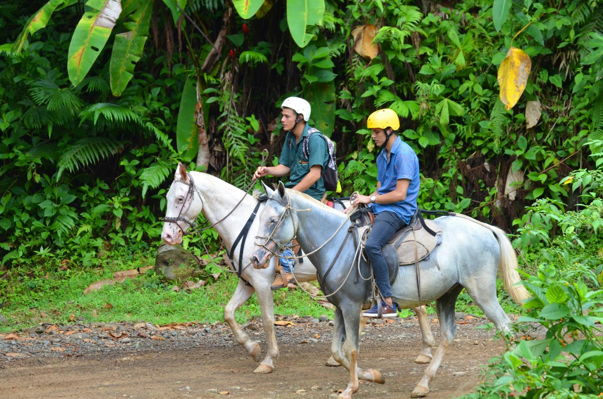 Tucanes Organic Farm, Horseride and Cascade