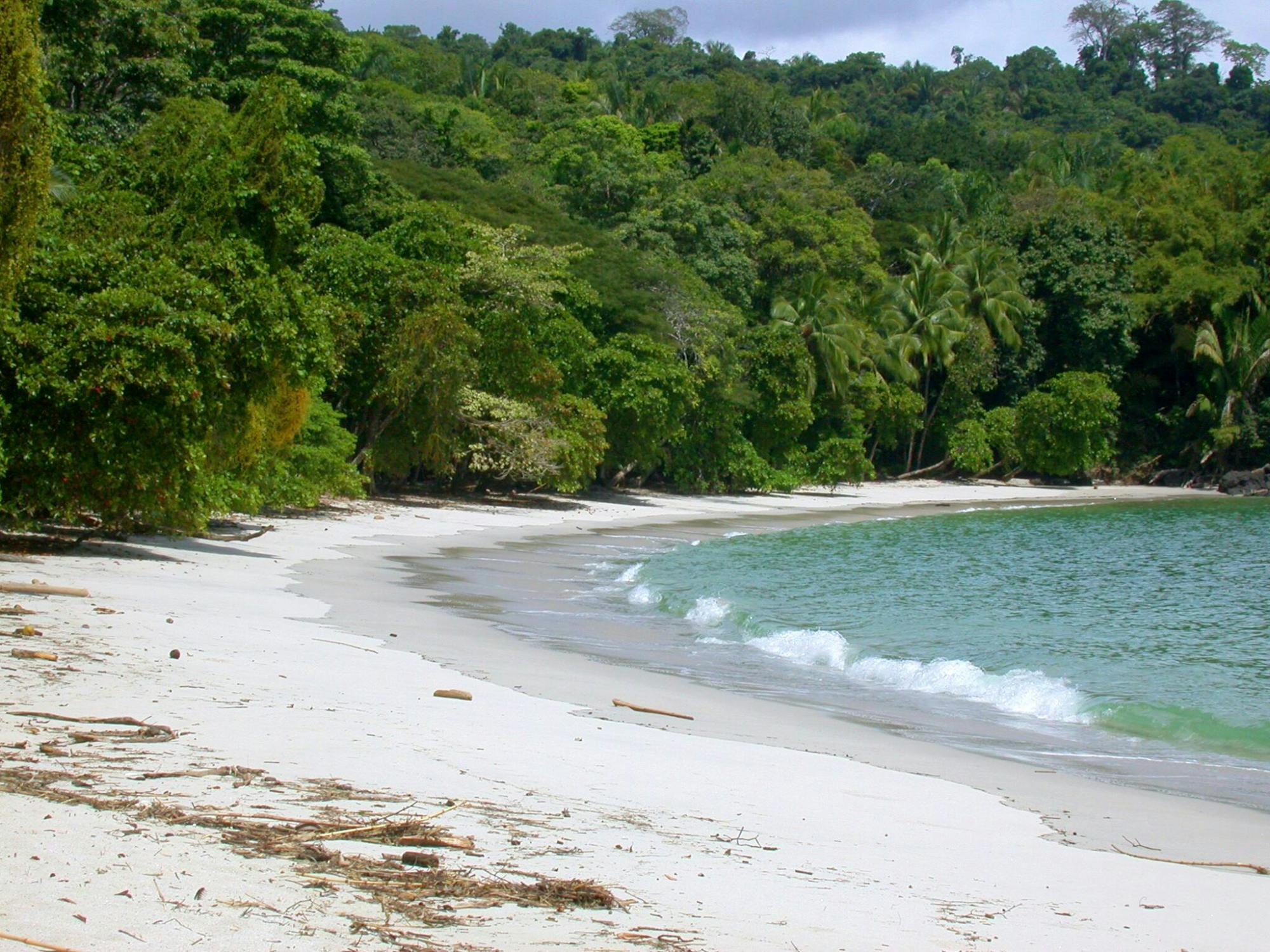 Manuel Antonio National Park Tour