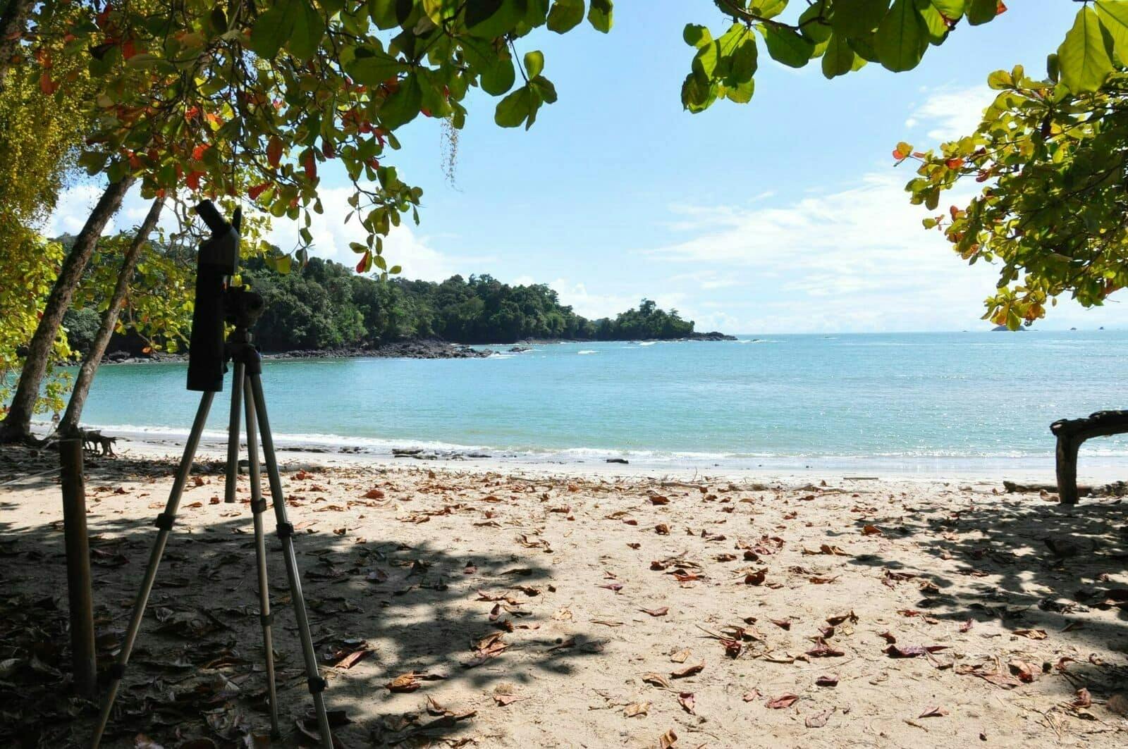 Manuel Antonio National Park Tour