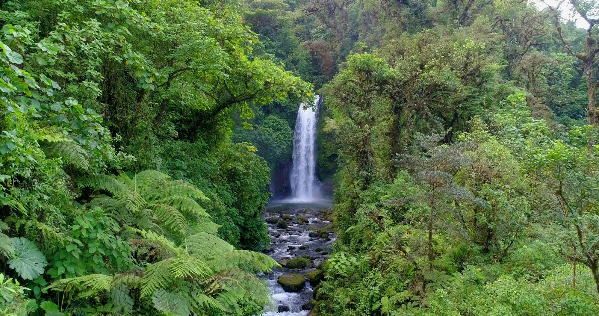 La Paz Waterfall Gardens Late Departure Tour