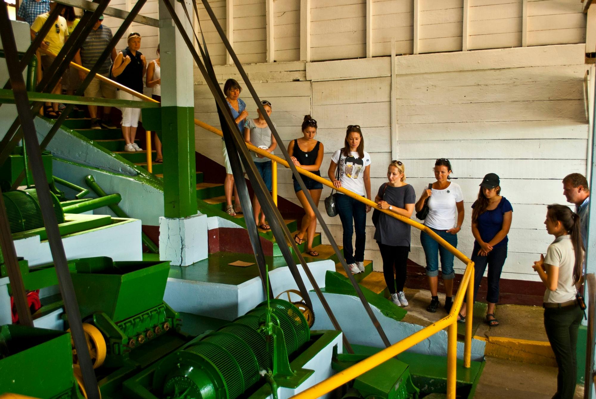 Coffee Plantation Tour, Poas Volcano and La Paz Waterfall Gardens