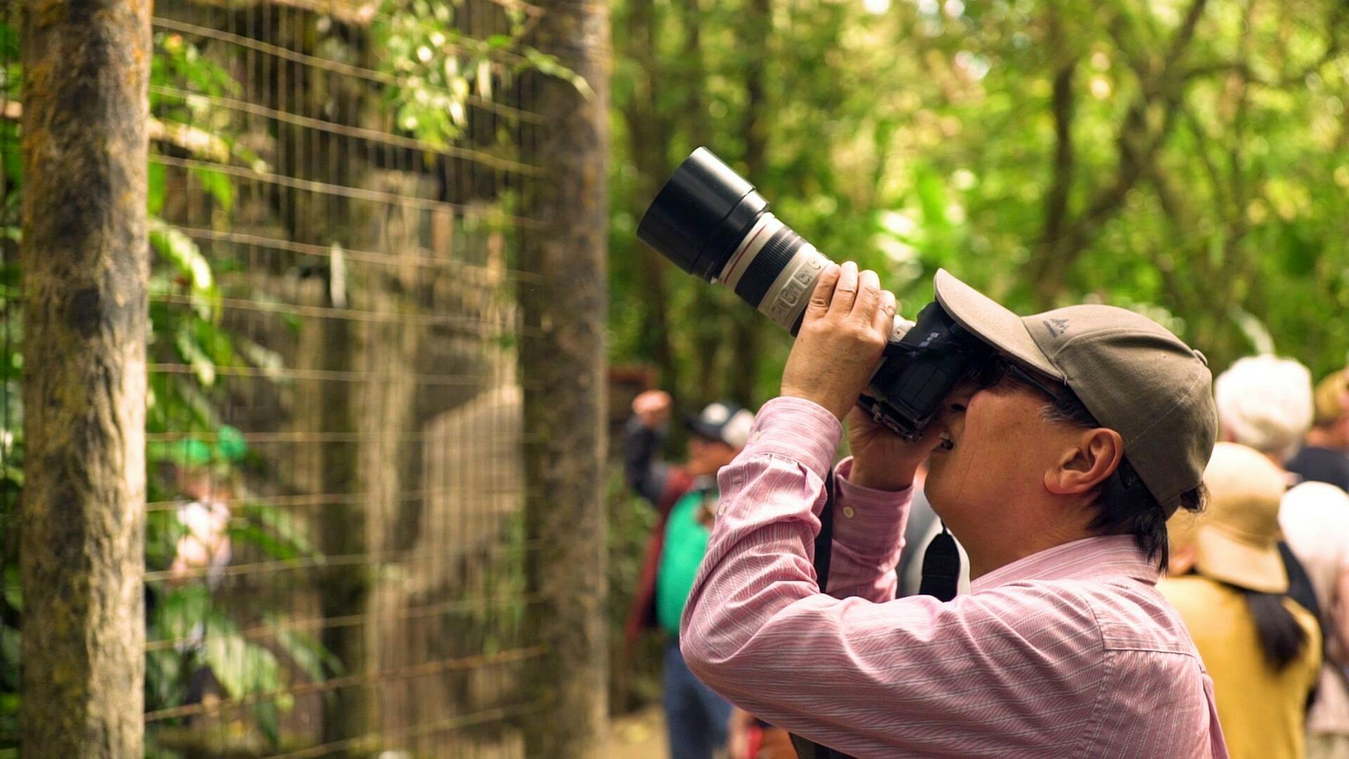 Coffee Plantation Tour, Poas Volcano and La Paz Waterfall Gardens