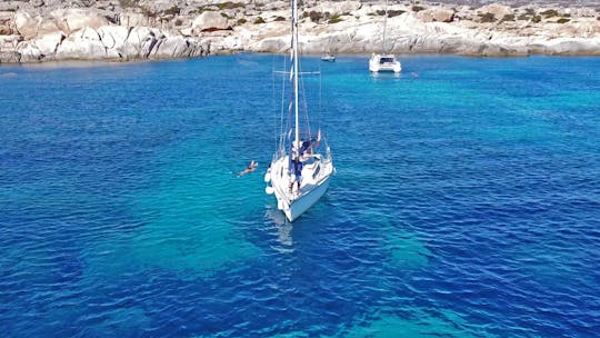 Asinara full day sailboat excursion from Stintino