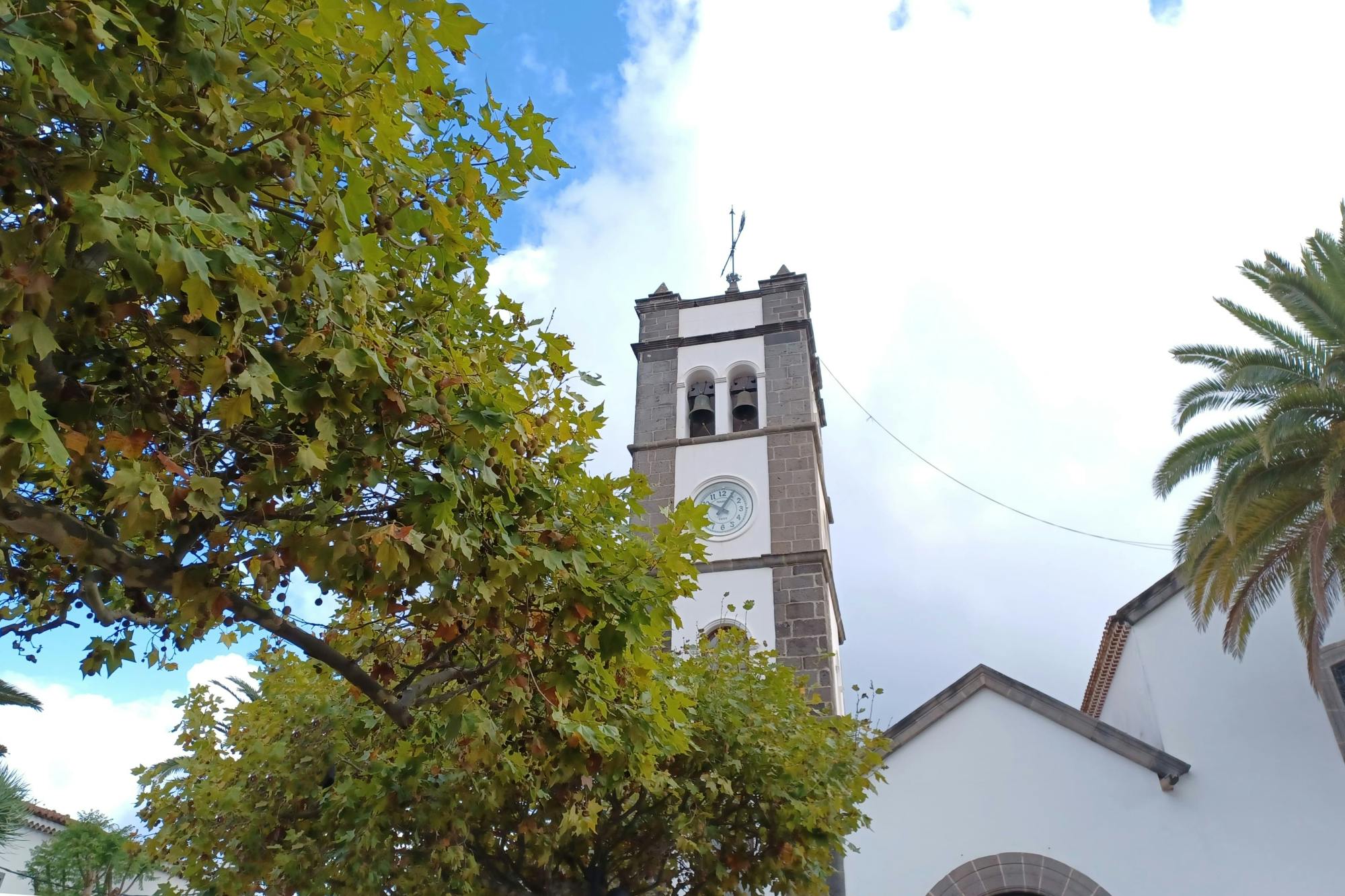 Tenerife Food and Wine Tasting Experience at Tegueste