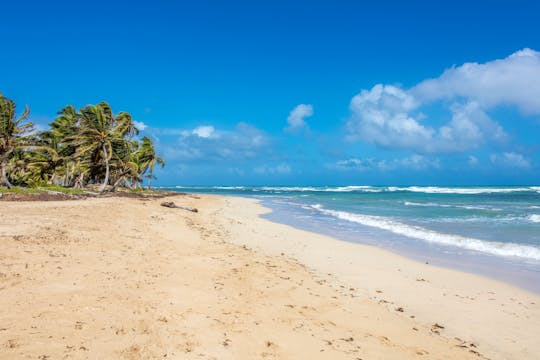 Privat halvdagsoplevelse af ægte caribisk kultur