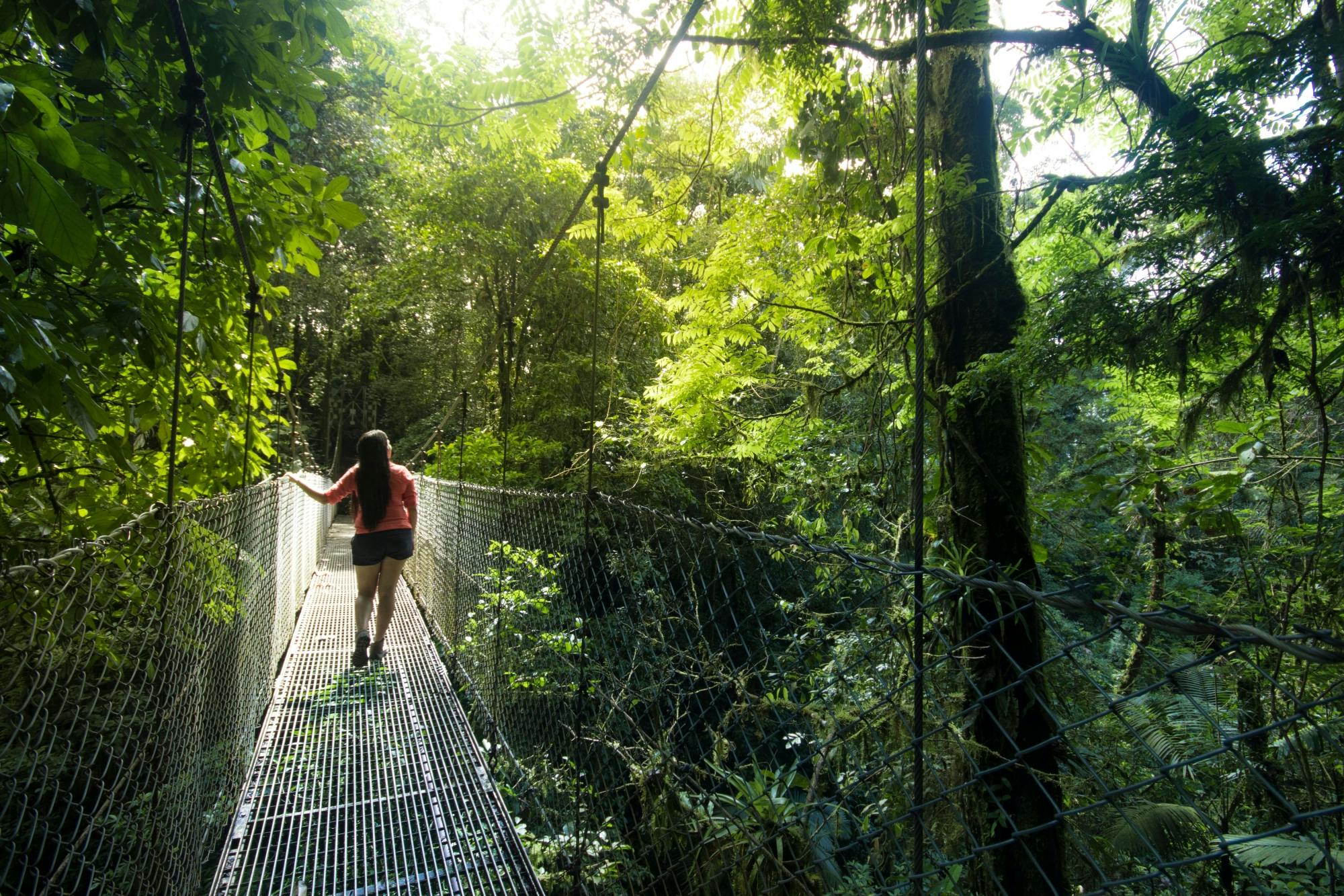 Arenal Hanging Bridges & La Fortuna Waterfall