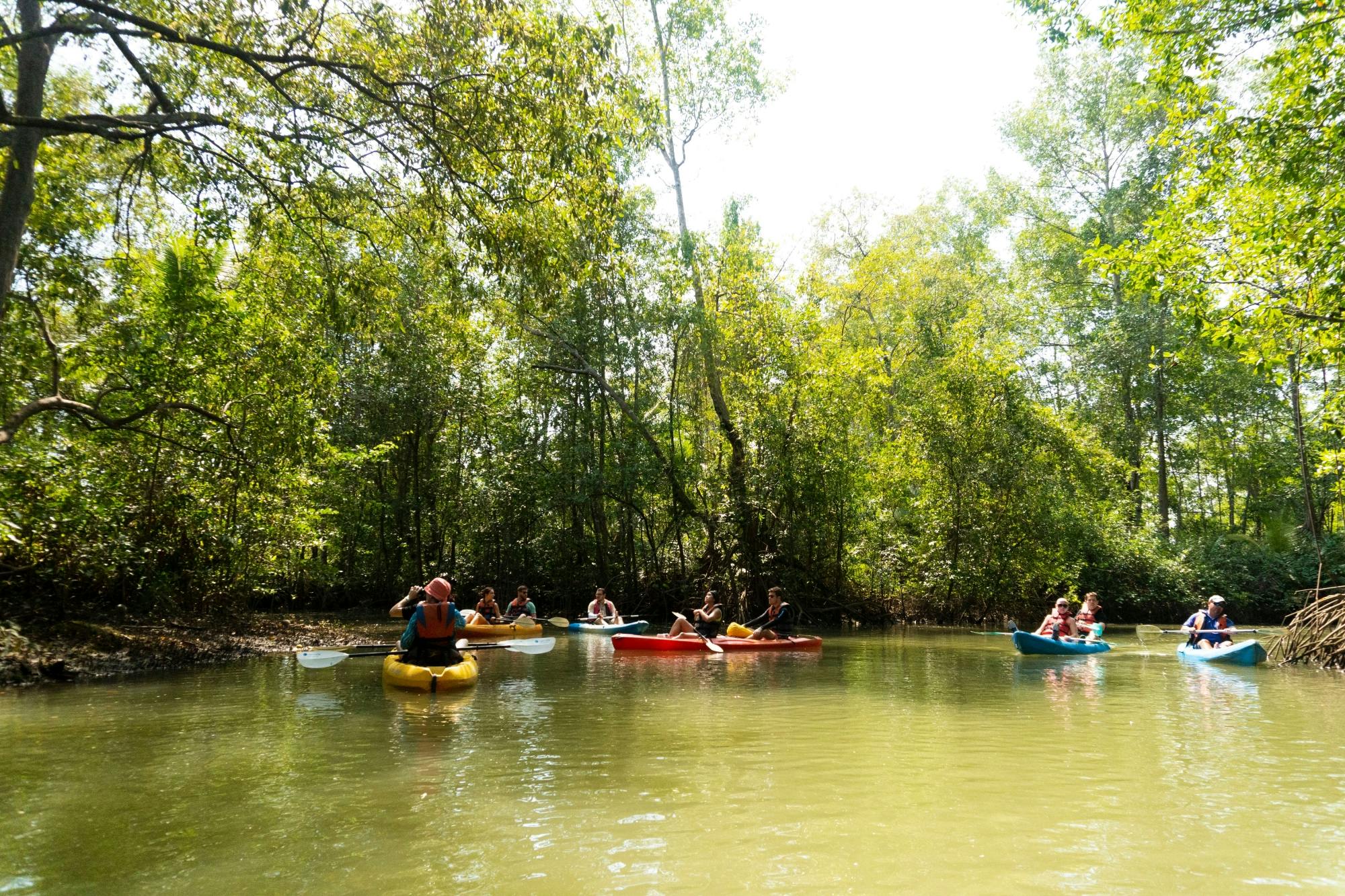 Damas Island Kayak Tour