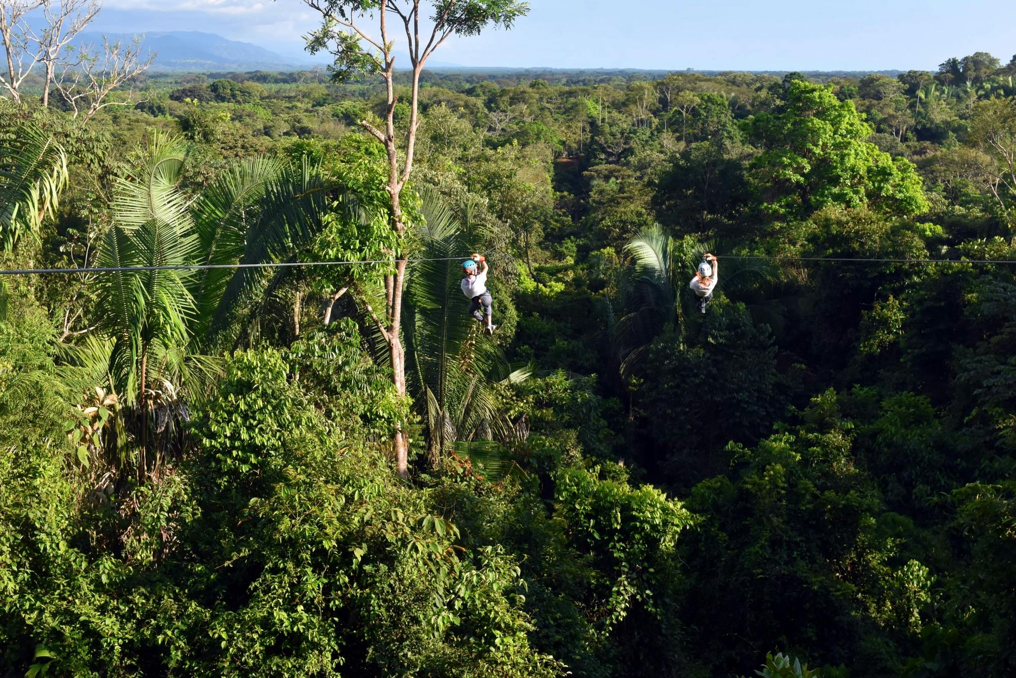 Titi Canopy Tour