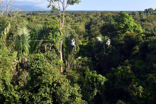 Titi Canopy Tour