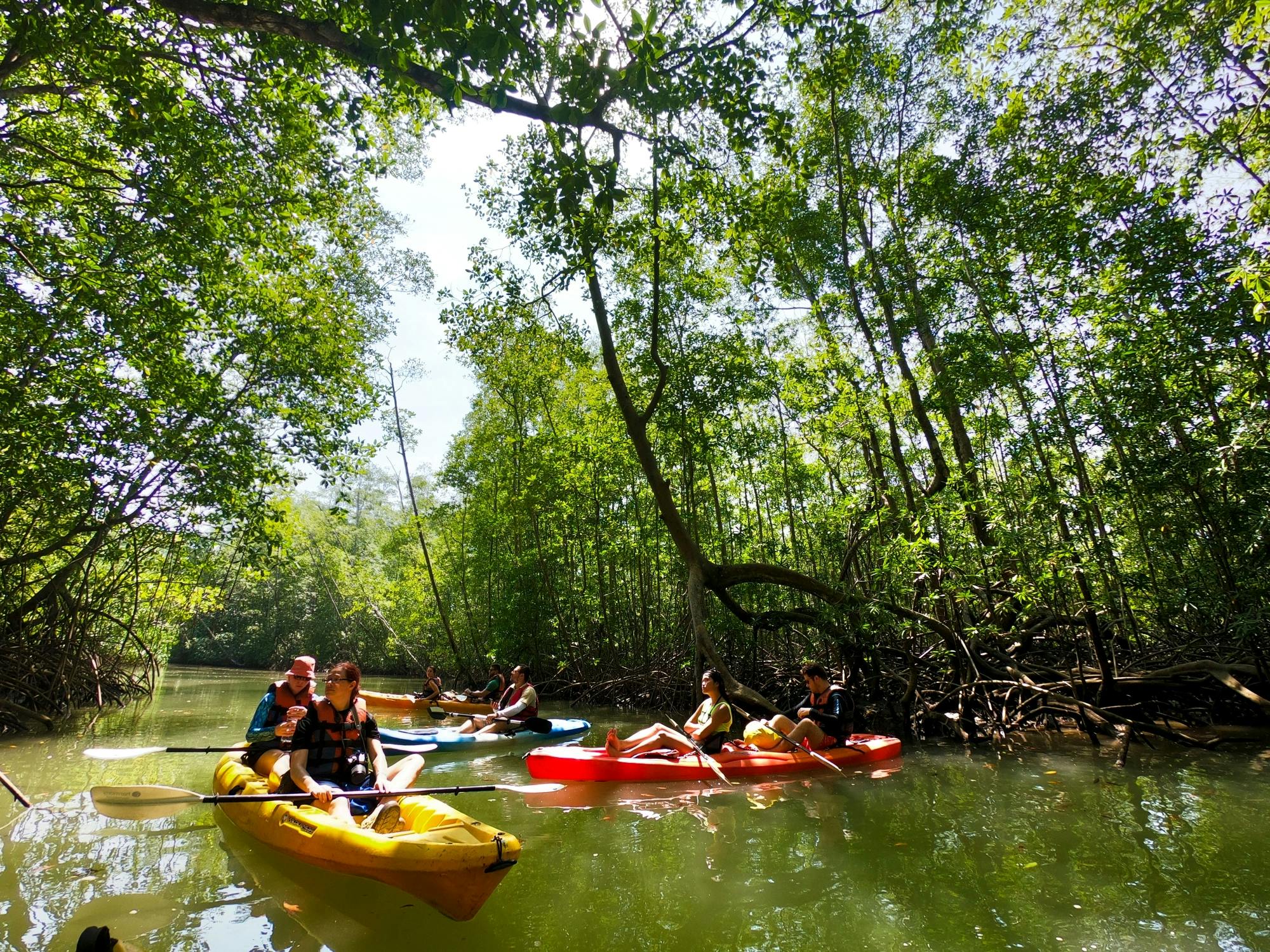 Damas Island Kayak Tour