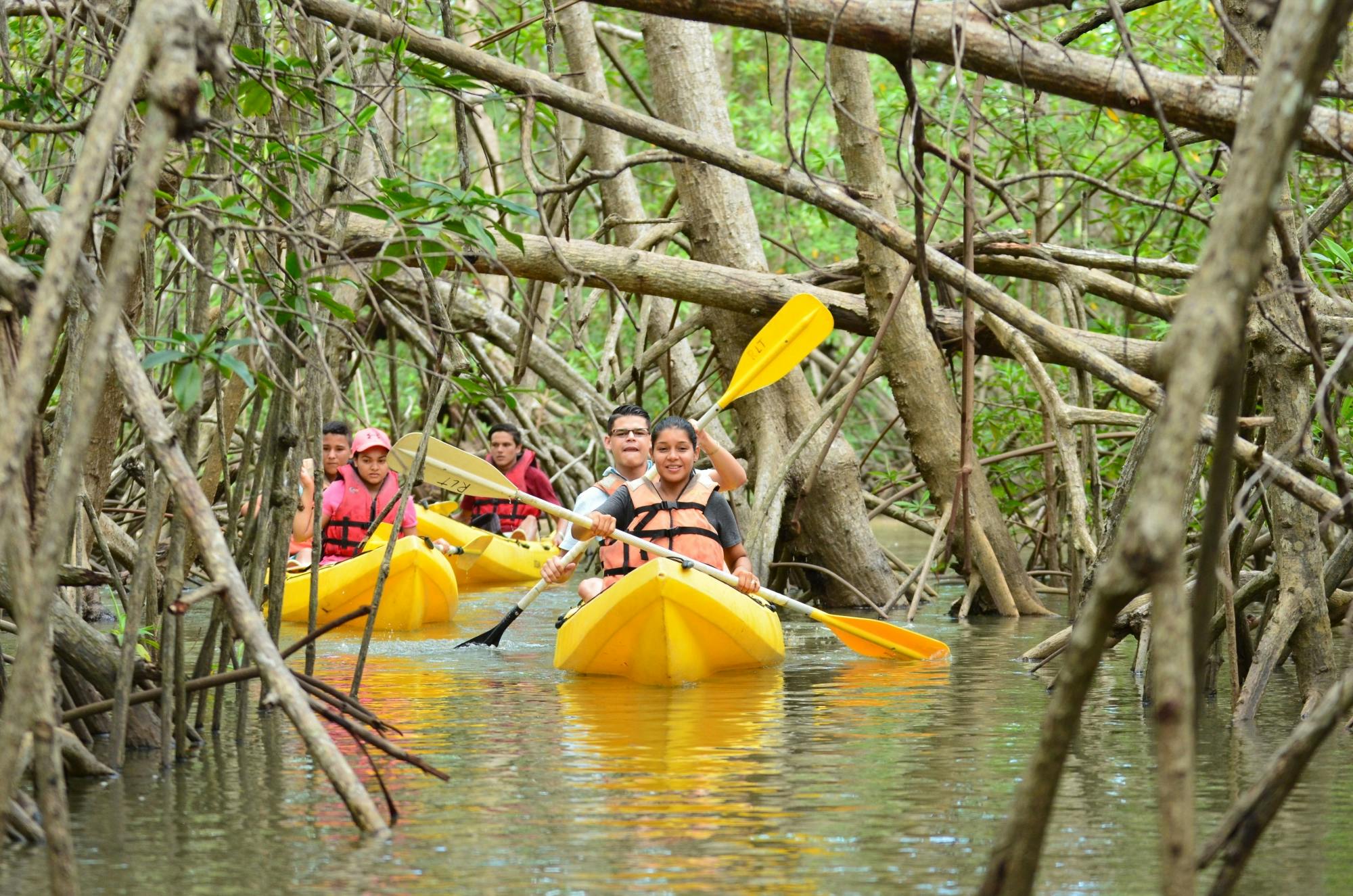 Damas Eiland Kajak Tour