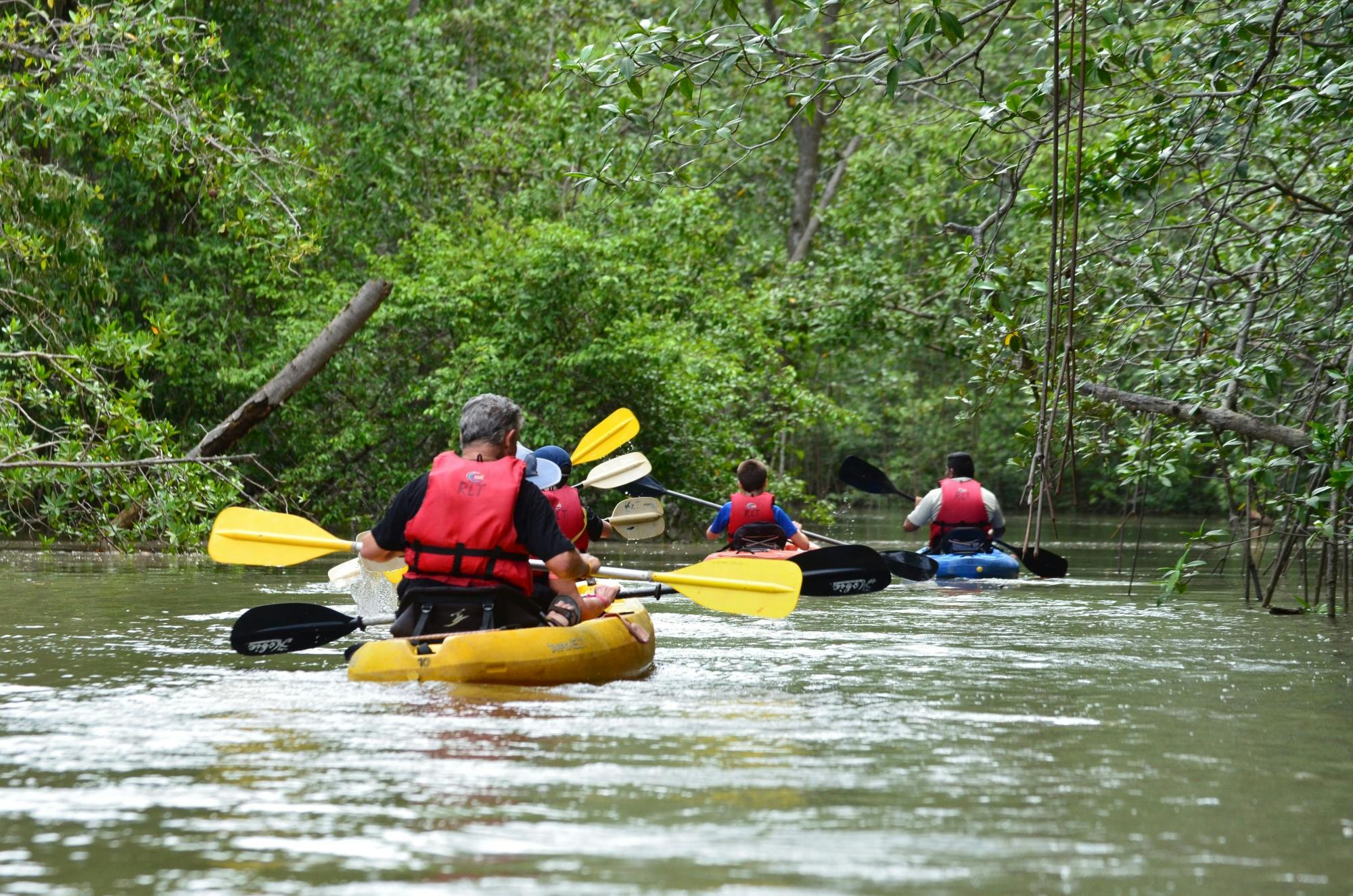 Damas Island Kayak Tour