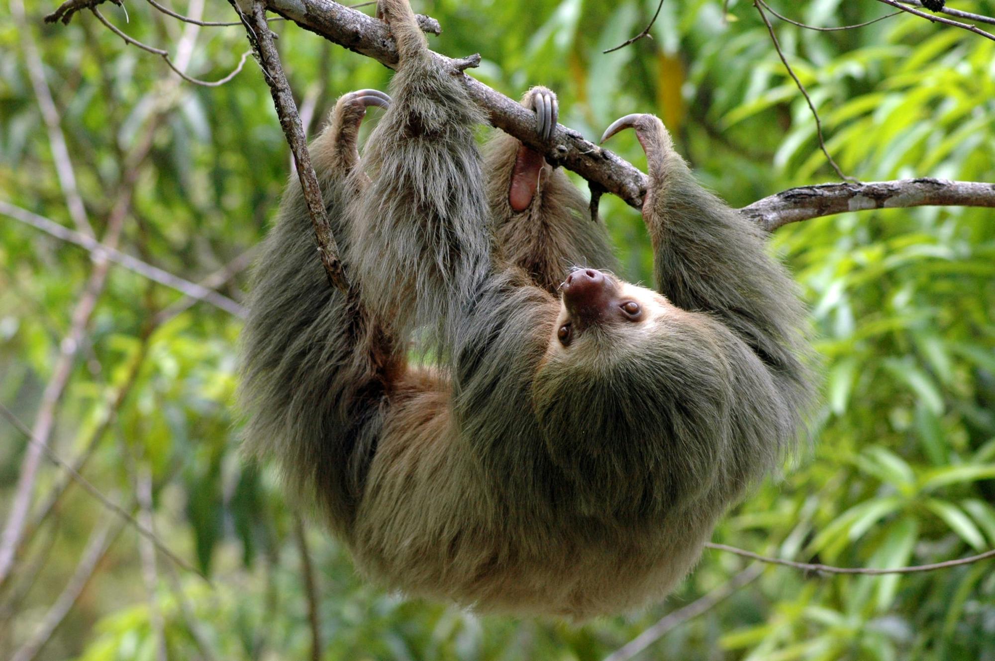 Manuel Antonio National Park Tour