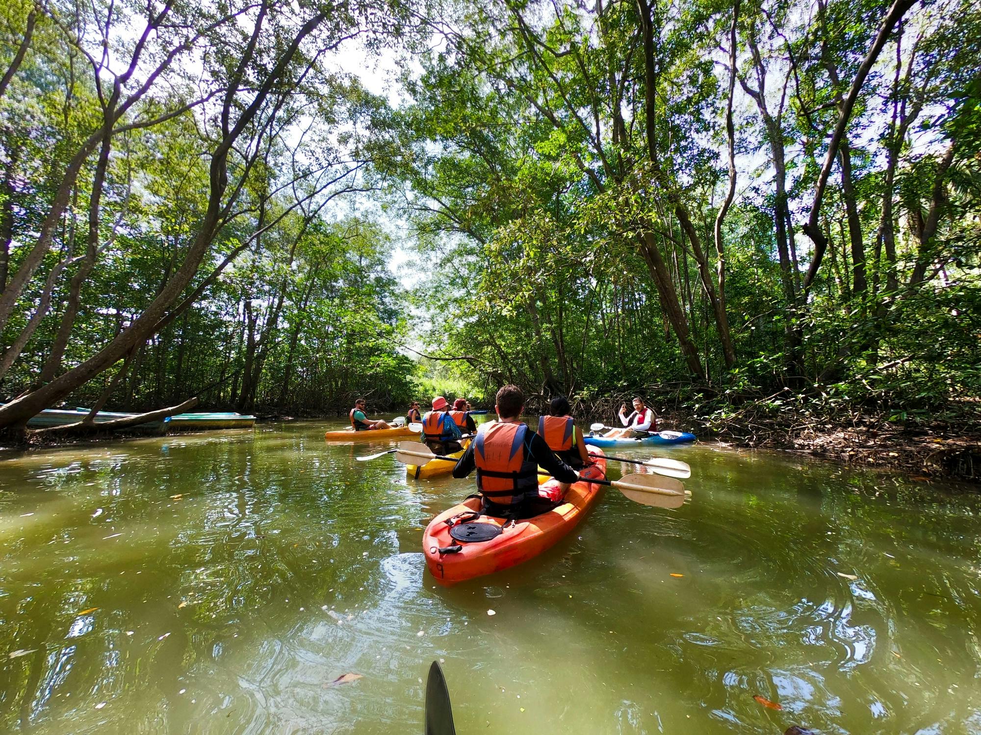 Damas Island Kayak Tour