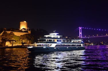 Deux visites guidées à pied et dîner-croisière sur le Bosphore à Istanbul