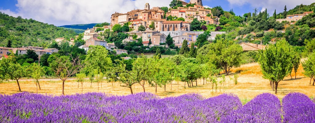 Halbtägige geführte Tour durch die Lavendelfelder von Sault ab Avignon