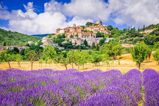 Halbtägige geführte Tour zu den Lavendelfeldern von Sault ab Avignon