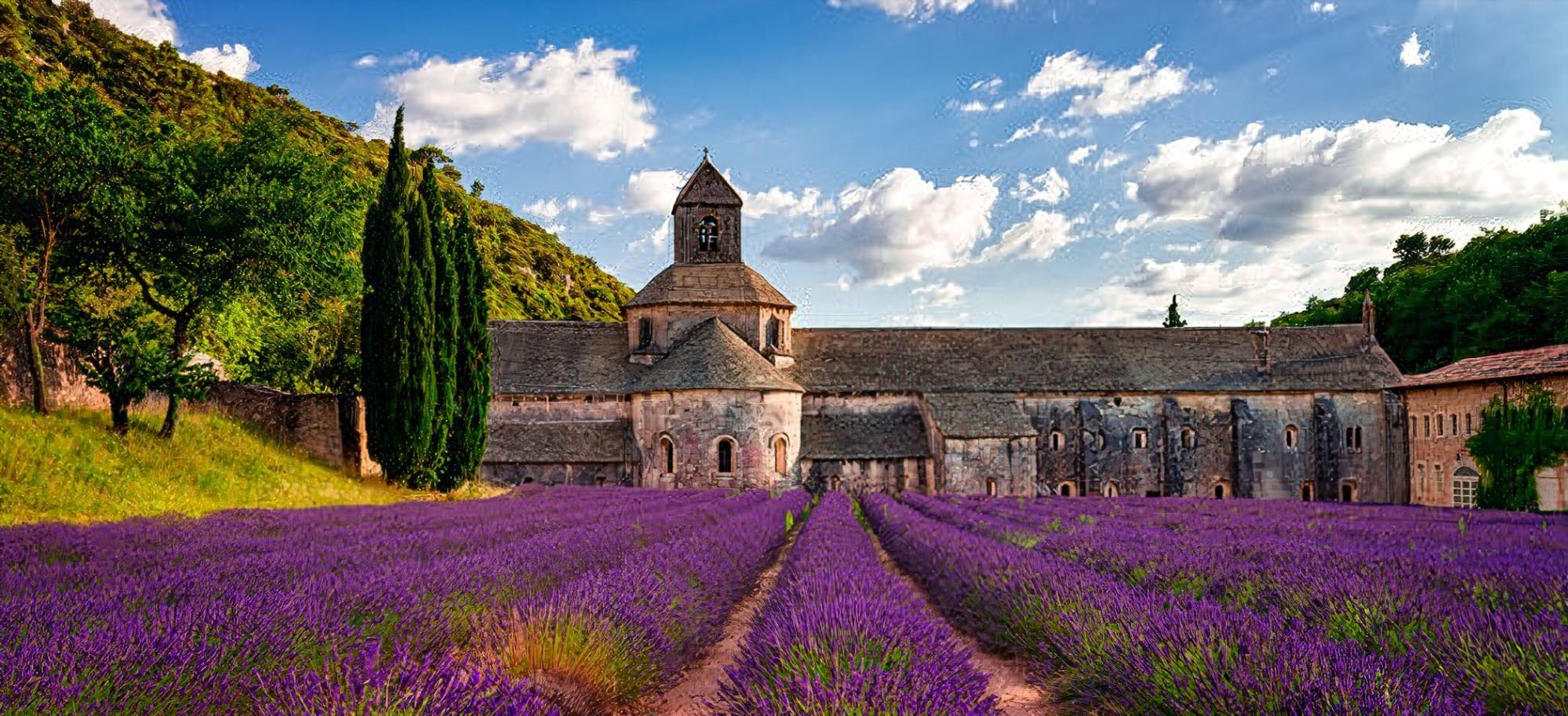 Lavendelfelder von Sault Geführte Tagestour ab Avignon