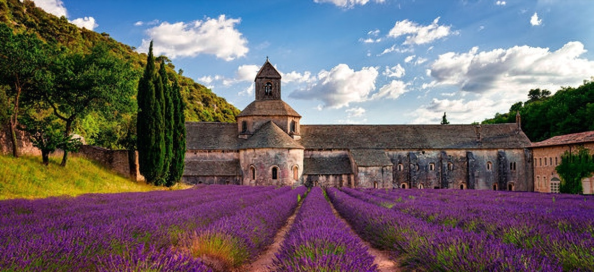 Sault lavender fields full-day guided tour from Avignon | musement