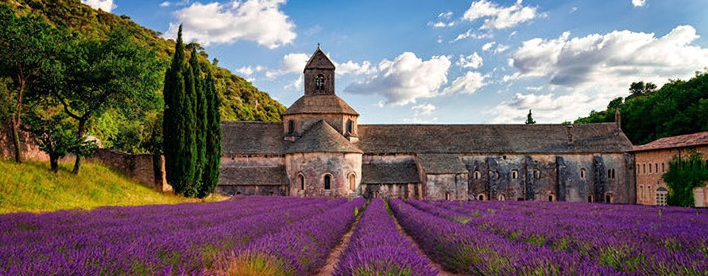 Geführte Tagestour durch die Lavendelfelder von Sault ab Avignon