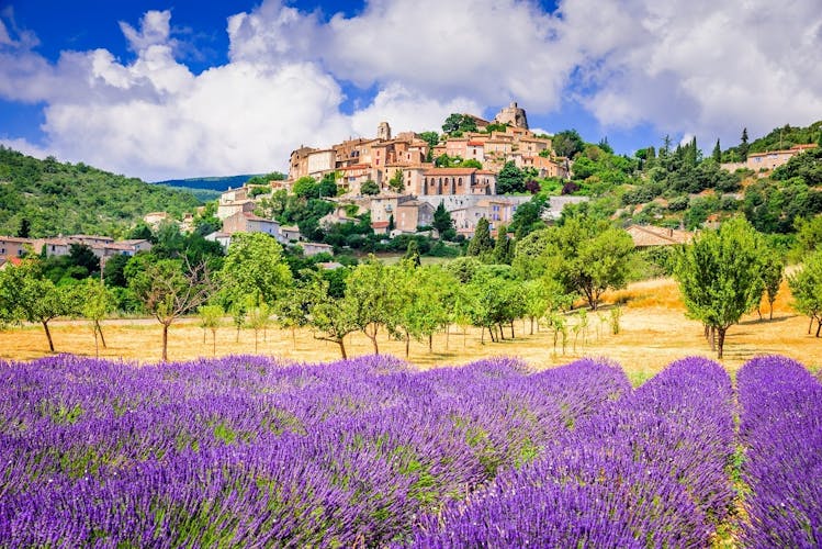 Sault lavender fields full-day guided tour from Avignon