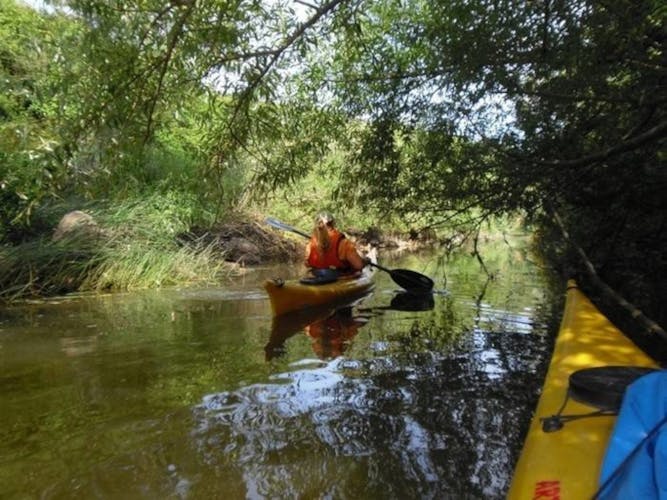 Kayak rental on Coghinas river in Valledoria