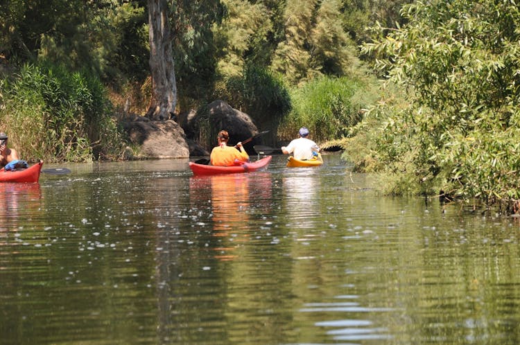 Kayak rental on Coghinas river in Valledoria