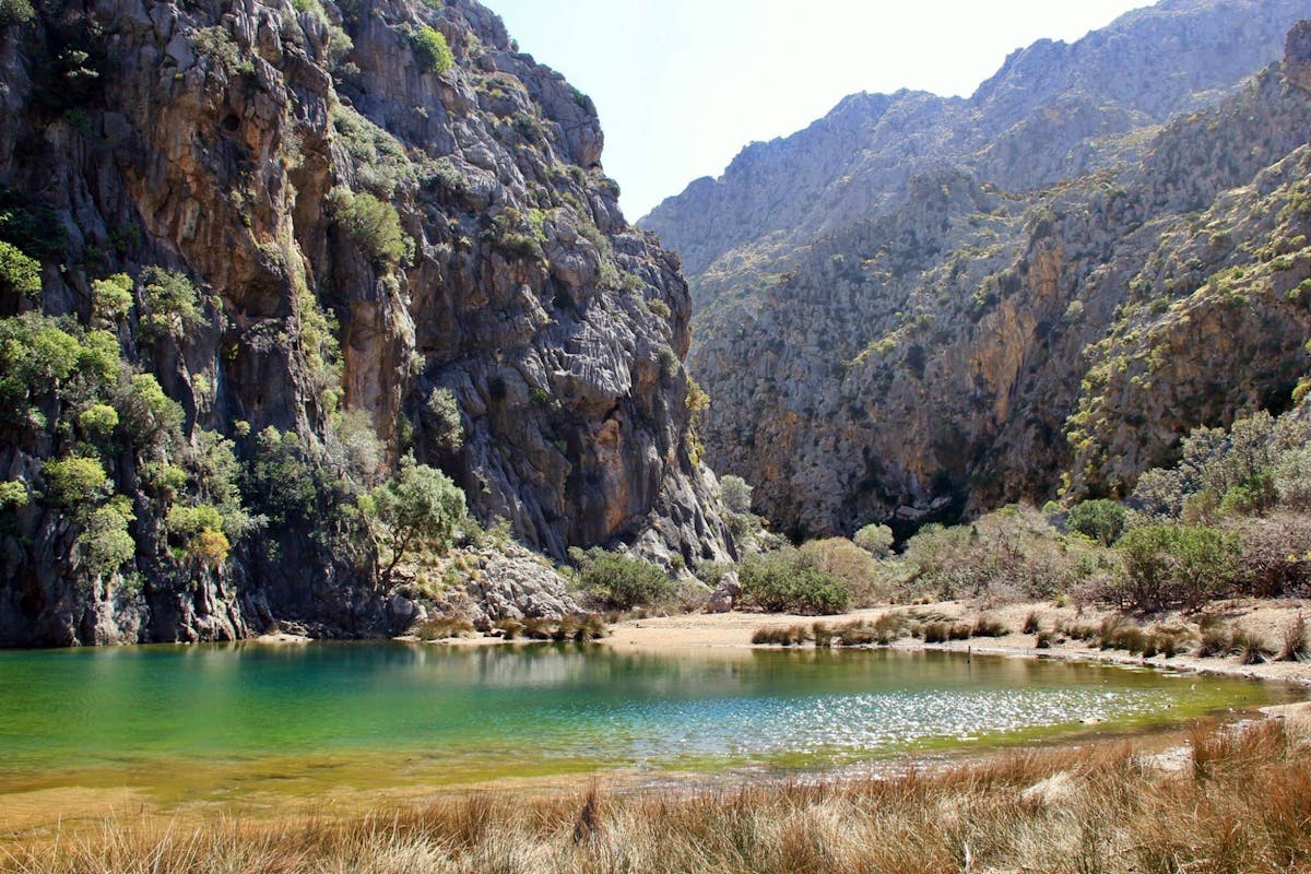 Full day Majorca Tour with Port de Soller and Sa Calobra