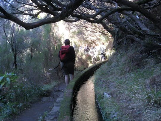 Guided trekking on the Levada do Rabaçal, Risco and 25 Fontes