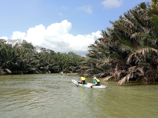 Lebam river kayaking adventure