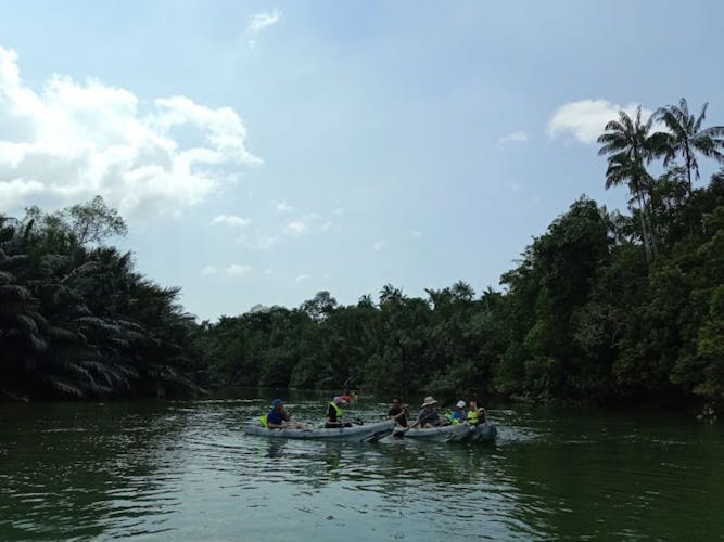 Lebam river kayaking adventure