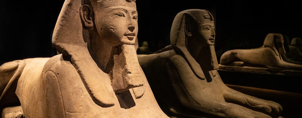Visite de Turin avec visite guidée du Musée des antiquités égyptiennes