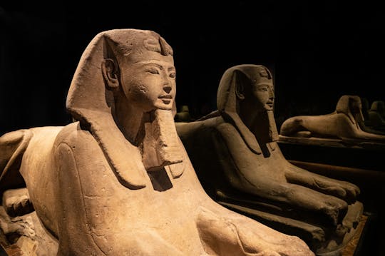 Recorrido por Turín con entradas y visita guiada al Museo Egipcio