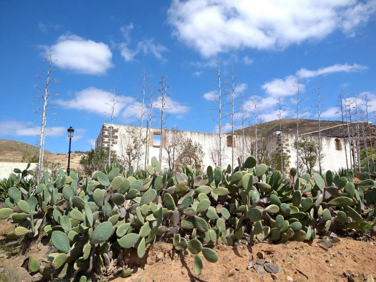 Private Guided Tour of Betancuria and Local Speciality Tastings