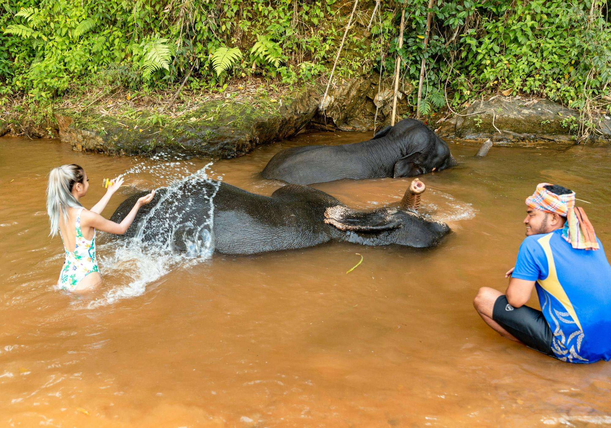 Demi-journée de bain pour les éléphants au centre d'assistance sociale