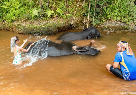 Demi-journée de bain pour les éléphants au centre d'assistance sociale