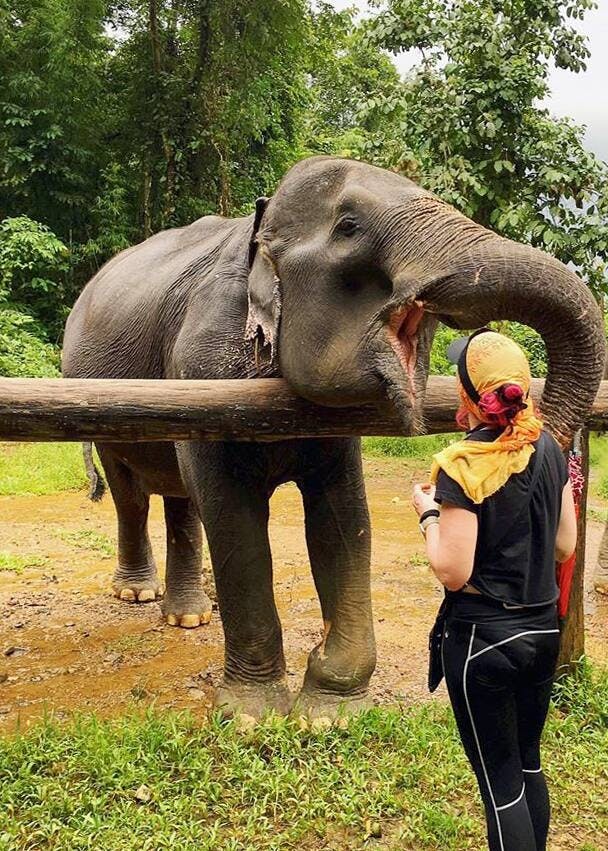 Half-Day Elephant Bathing at Welfare Center