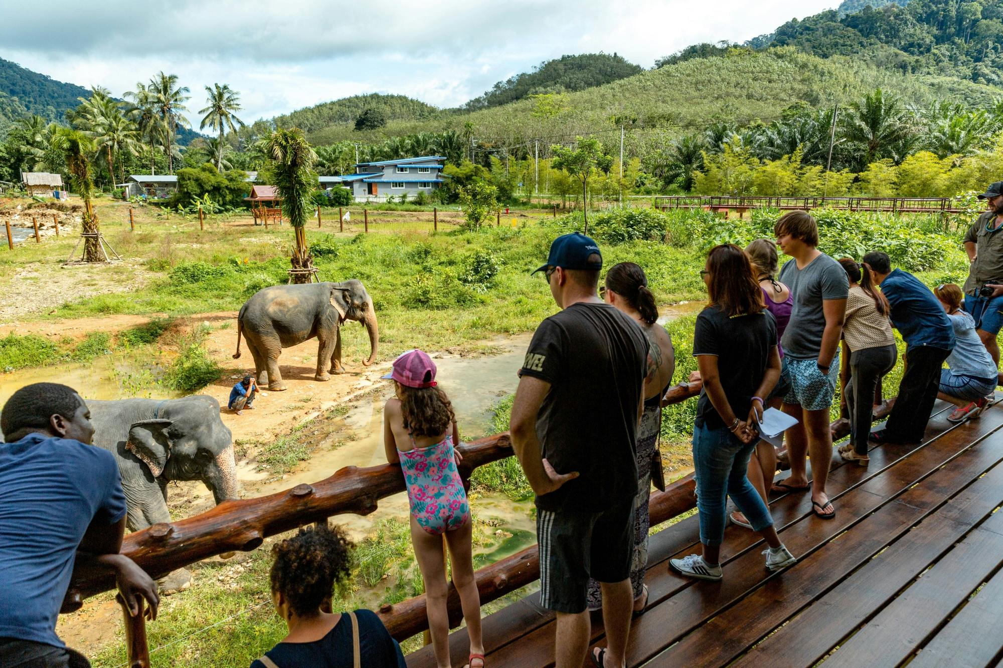 Half-Day Elephant Bathing at Welfare Center