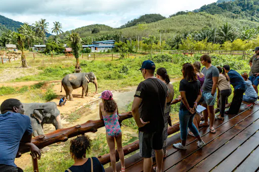 Half-Day Elephant Bathing at Welfare Center