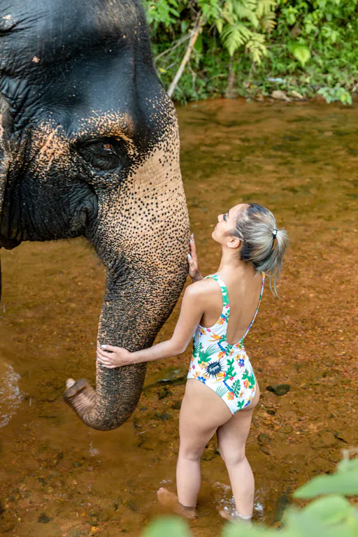 Half-Day Elephant Bathing at Welfare Center