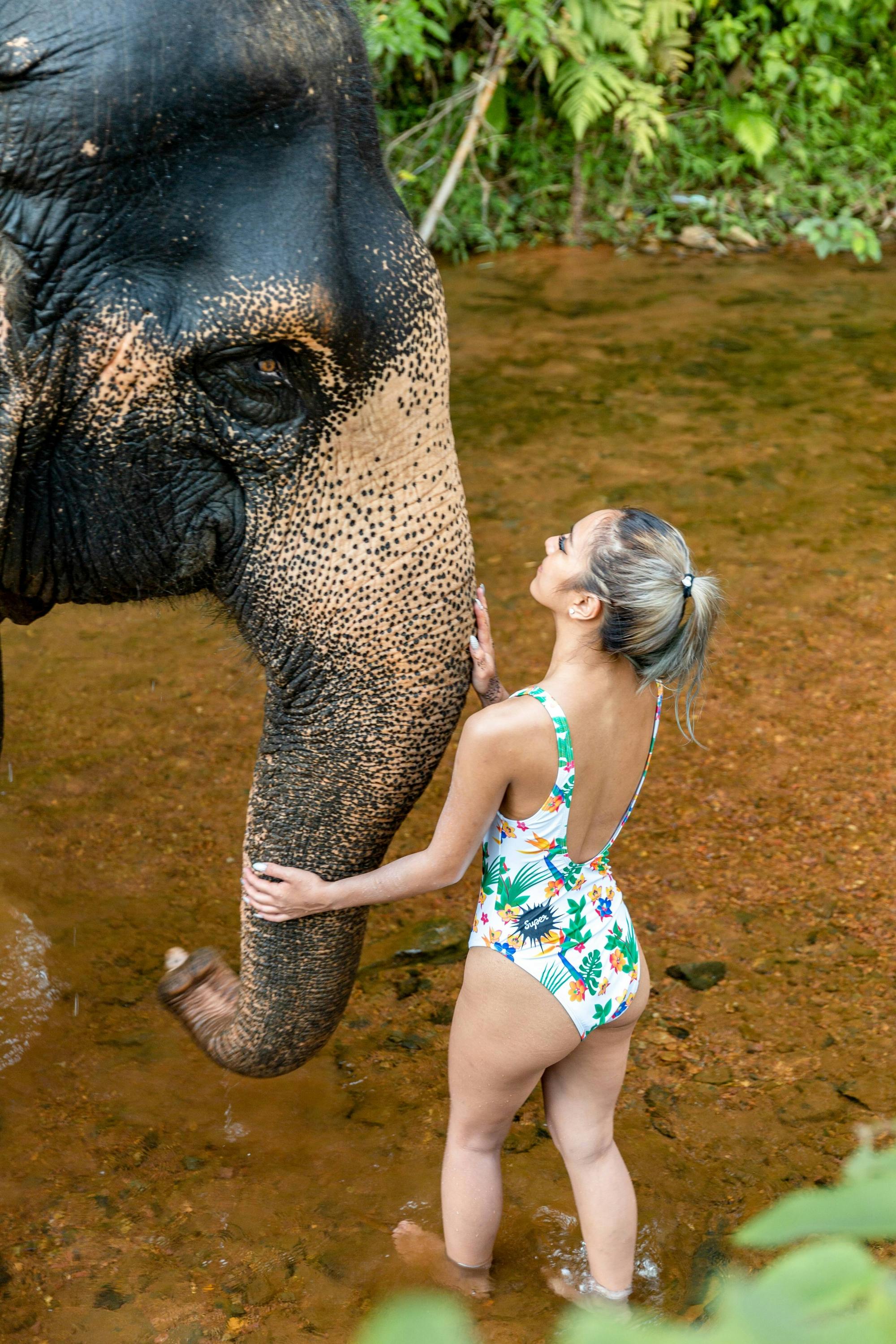 Half-Day Elephant Bathing at Welfare Center