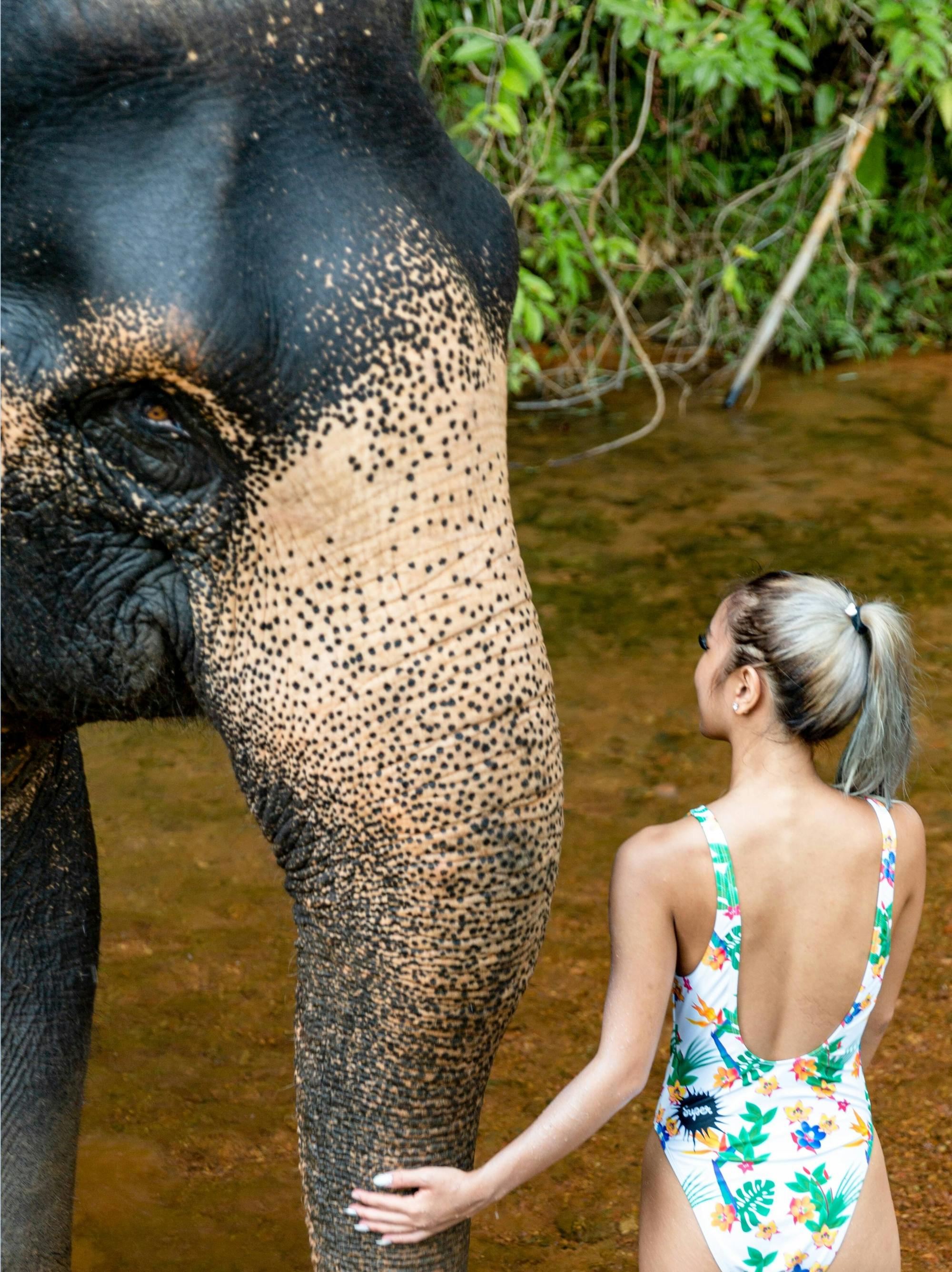 Half-Day Elephant Bathing at Welfare Center