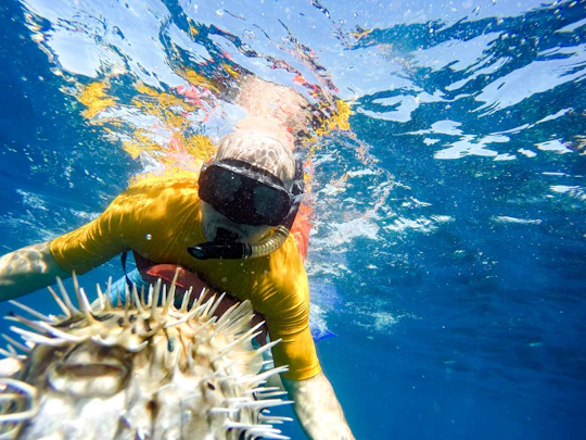 Sea of Cortez snorkelling boat cruise at Pelican’s Rock