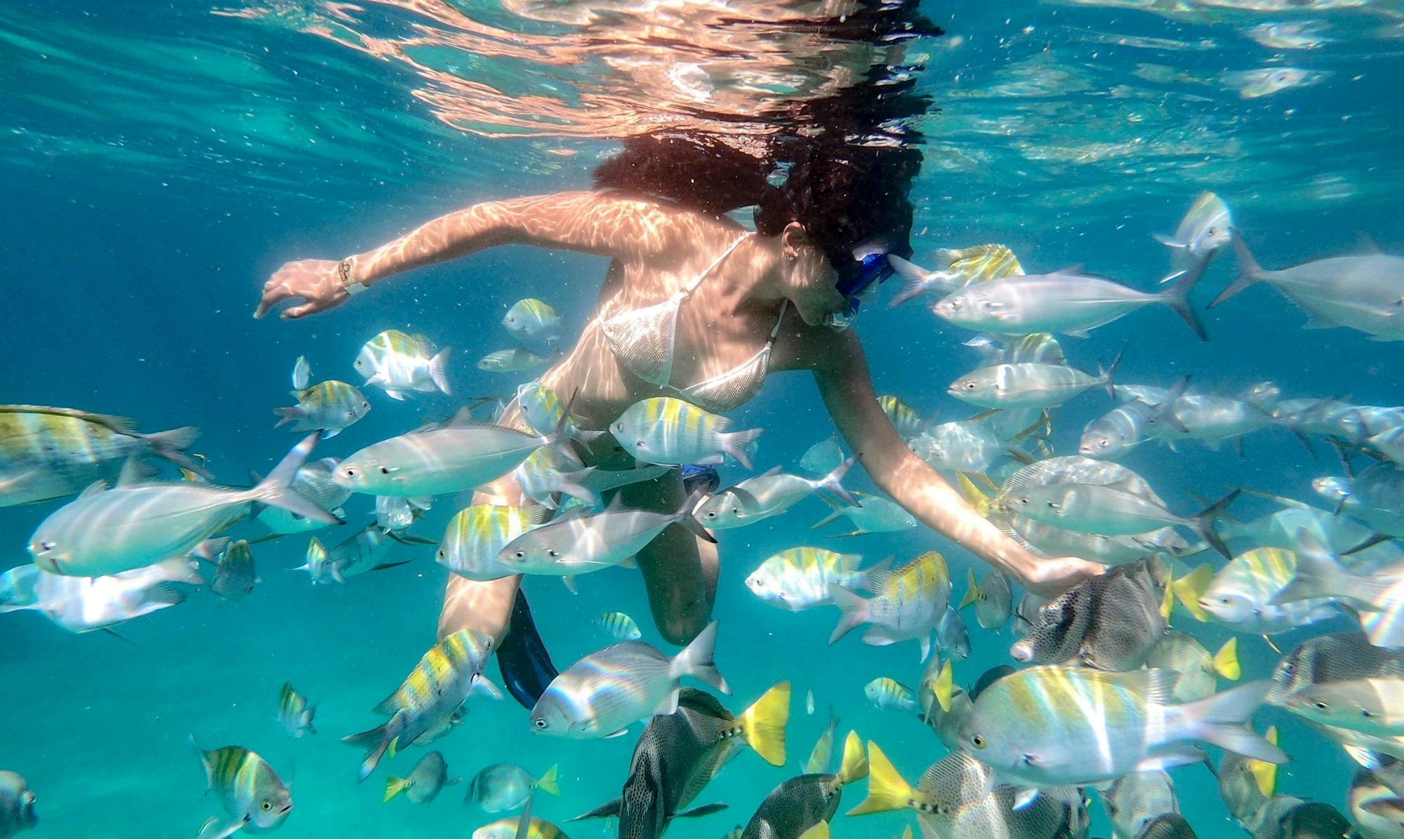 Sea of Cortez Snorkelling Boat Cruise