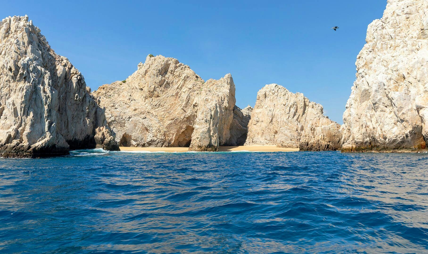 Sea of Cortez Snorkelling Boat Cruise