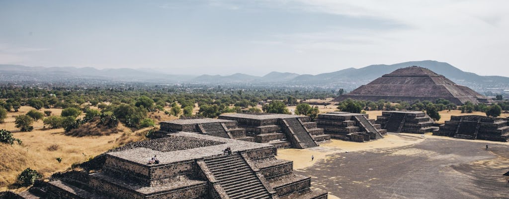 Teotihuacan pyramids and Shrine of Guadalupe private tour with optional lunch